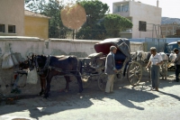 Kuşadası, Pferdekutschen