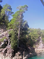 Grüner Canyon