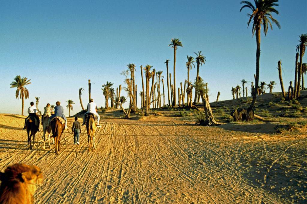 Douz, Kamelritt in die Sandwüste