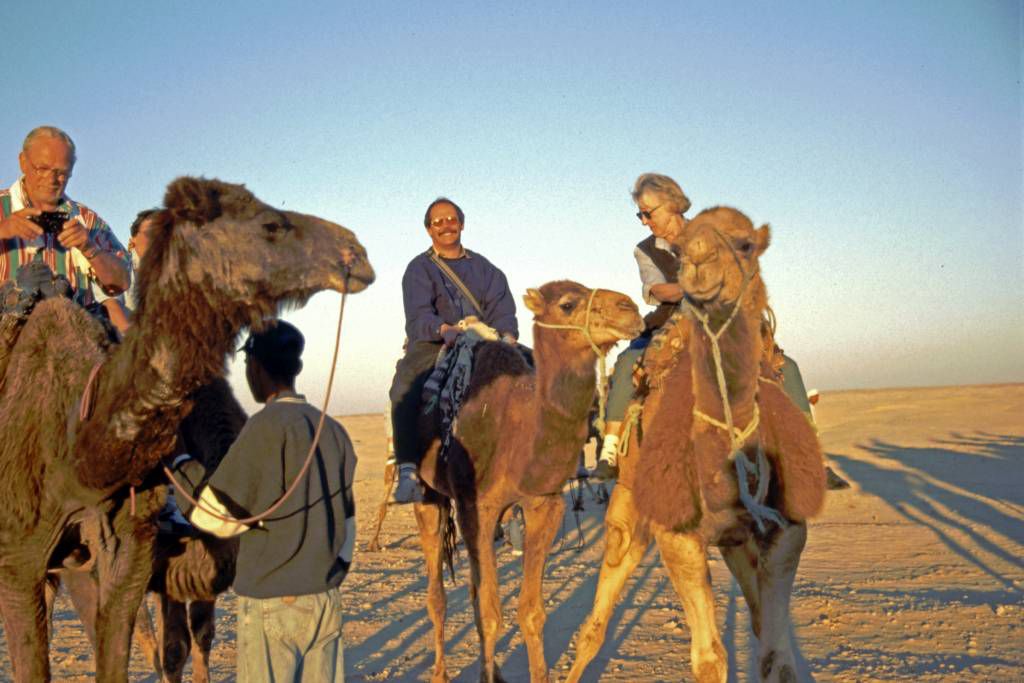 Douz, das Kamel und ich