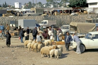 Sousse, Sontagsmarkt