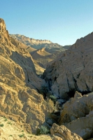 Djebel Chambi National Park, Drehort "Der englische Patient"