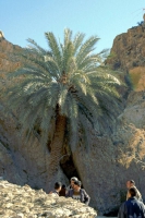 Djebel Chambi National Park, Drehort "Der englische Patient"