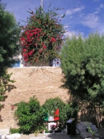 Hammamet, Grab von Bettino Craxi