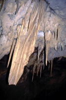 Caripe, die mit 10,2 Km größte Tropfsteinhöhle Südamerikas, die Cueva del Guácharo