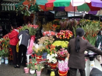 In der Altstadt von Hanoi / Ha Noi