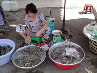 Markt in Saigon / Sai Gon