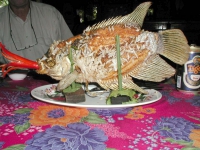 Fisch im Mekong Delta, vorher ...