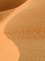 In den roten Dünen von Mui Ne