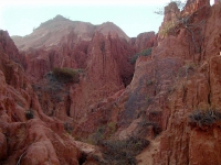 In den roten Dünen von Mui Ne