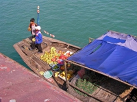 Halong Bucht, Kinder verkaufen Früchte