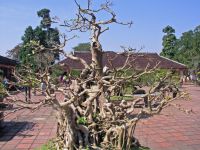 Hue, Thien Mu-Pagode