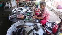 Mekongfahrt mit der "Le Cochinchine"