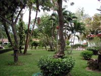 Garten des Pinnacle Resort Golden Beach in Jomtien